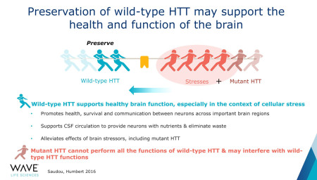 Wave Huntington's disease