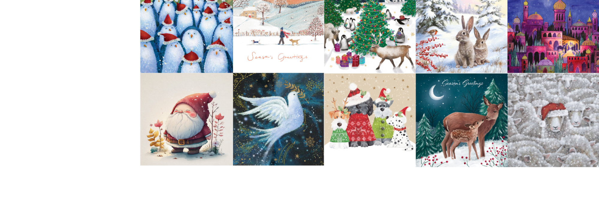New Website  Banner images - 2025-10-02T155743.596