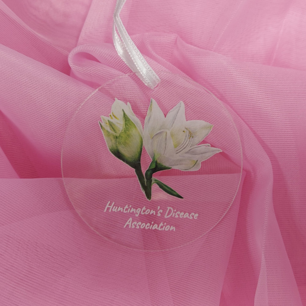 Amaryllis Christmas decoration