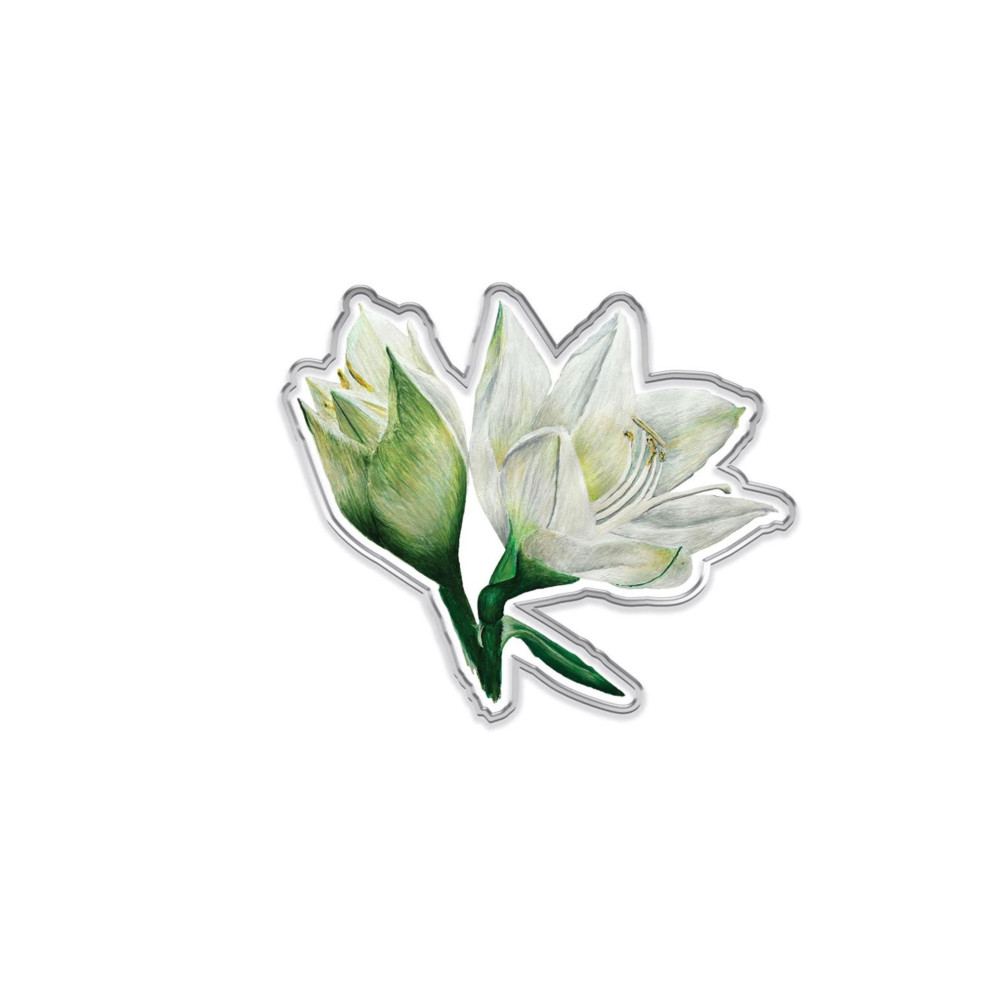 Amaryllis pin badge