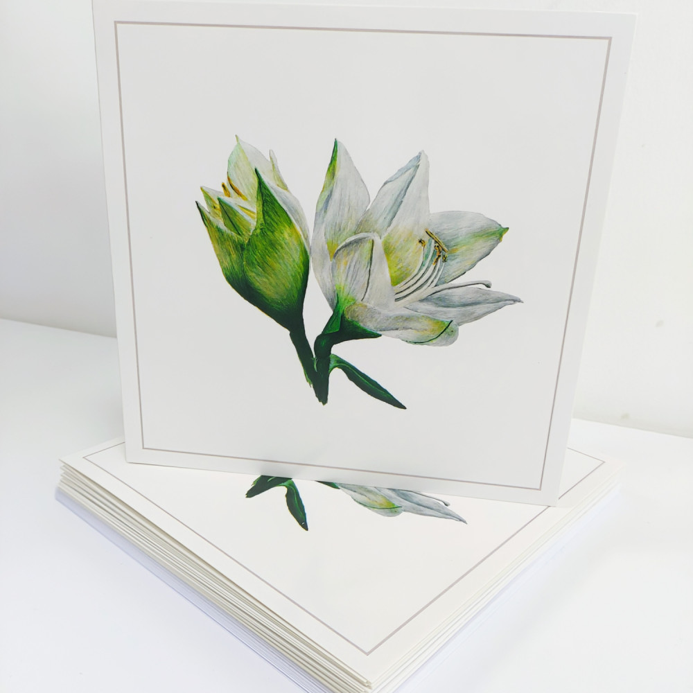 Amaryllis card