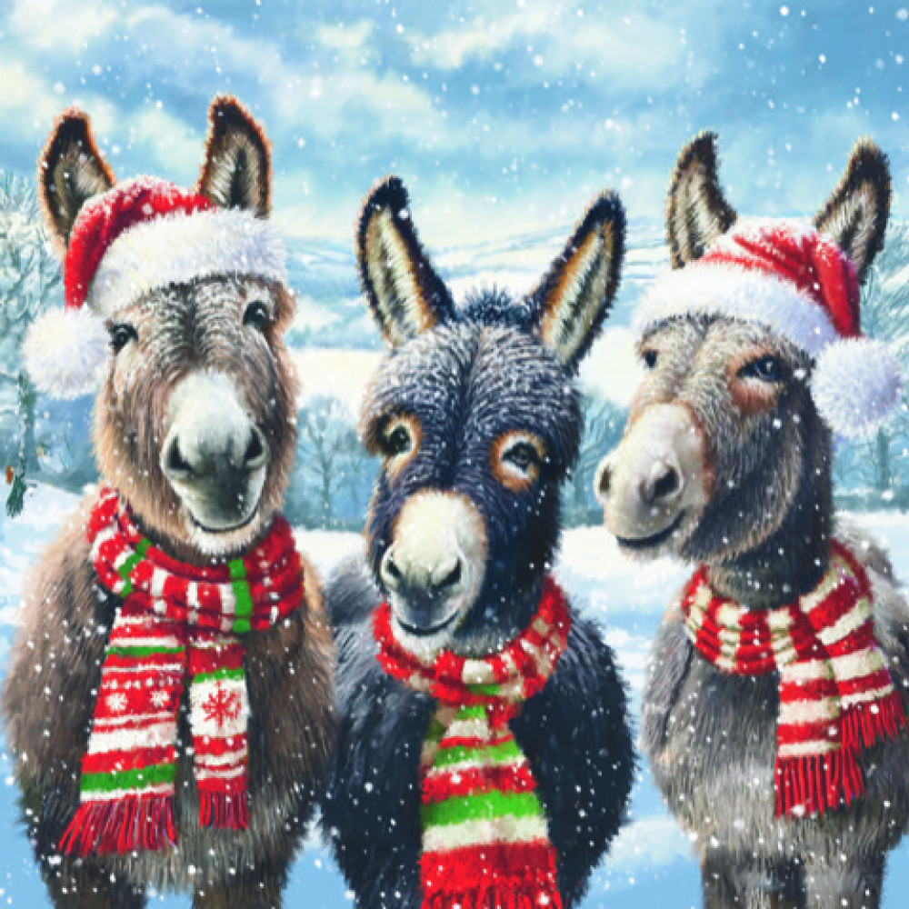 Donkey pals