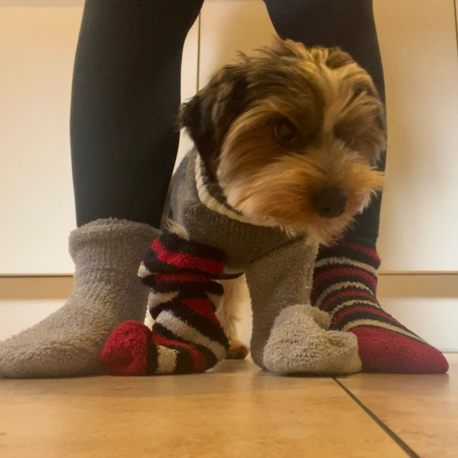 Odds And Socks Day
