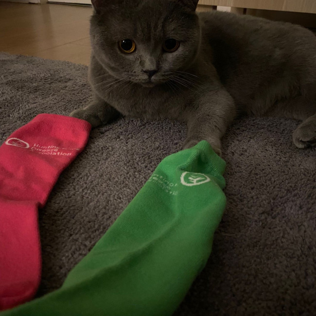 Odds And Socks Day