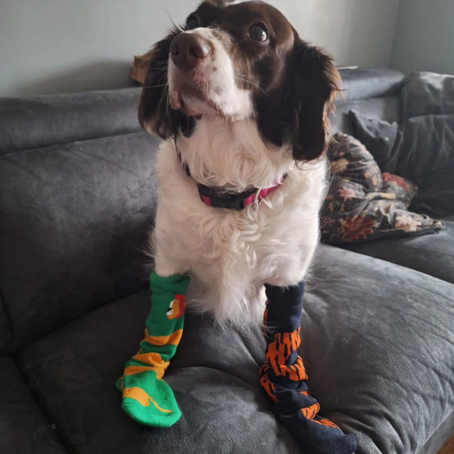 Odds And Socks Day