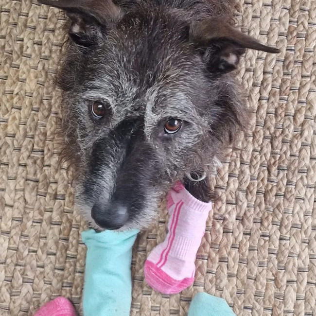 Odds And Socks Day