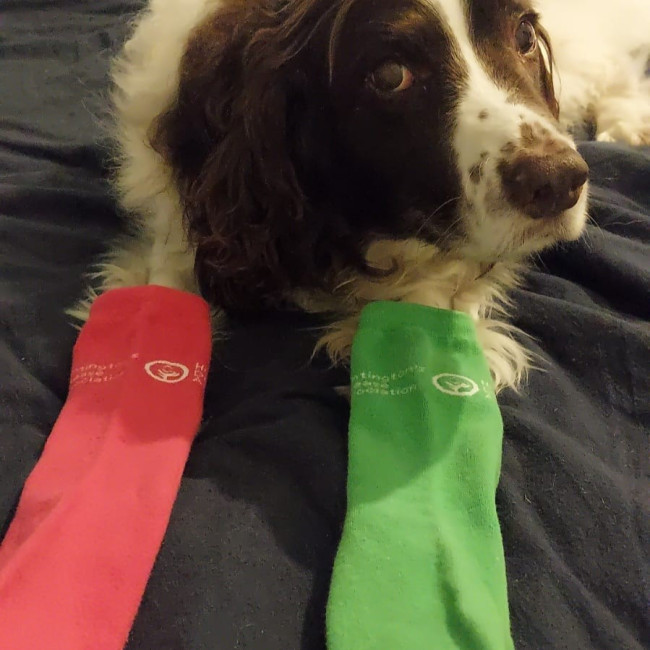 Odds And Socks Day