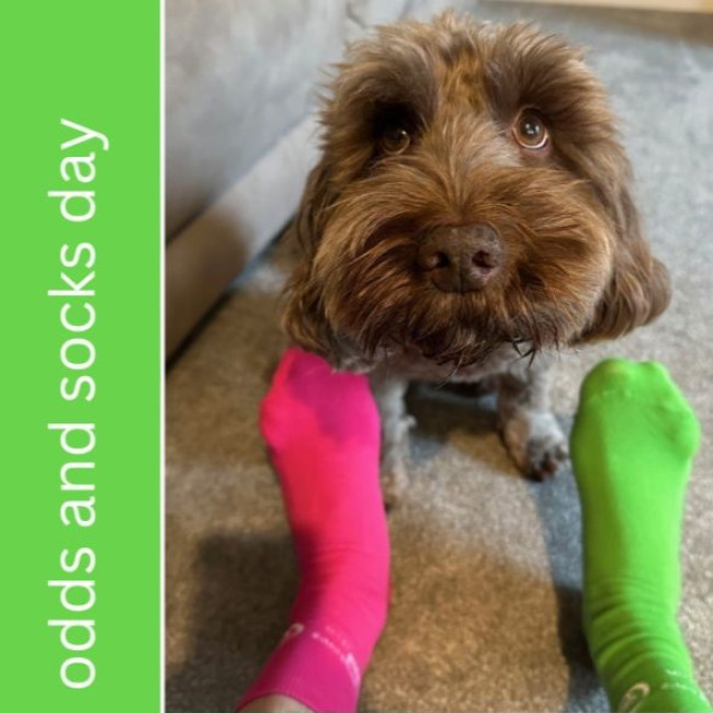 Odds And Socks Day