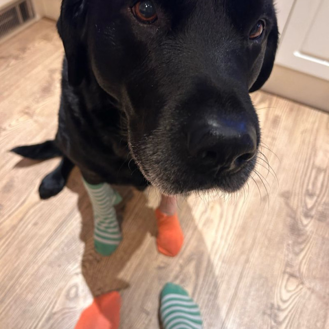 Odds And Socks Day