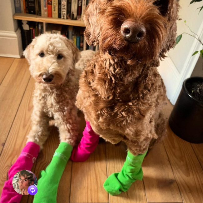 Screenshot_20260227_144333_Instagram - Copy