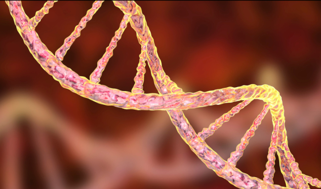 Genetics study