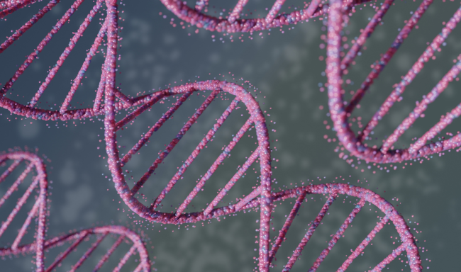 Gene study