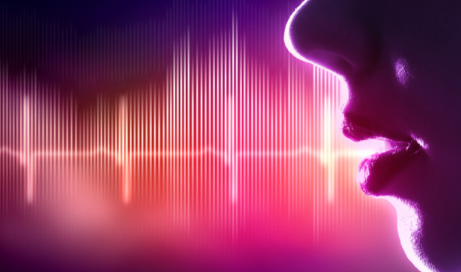 Voice banking