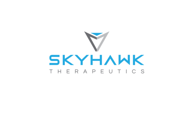 Skyhawk logo