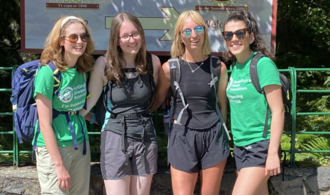 HDWalk Website banner