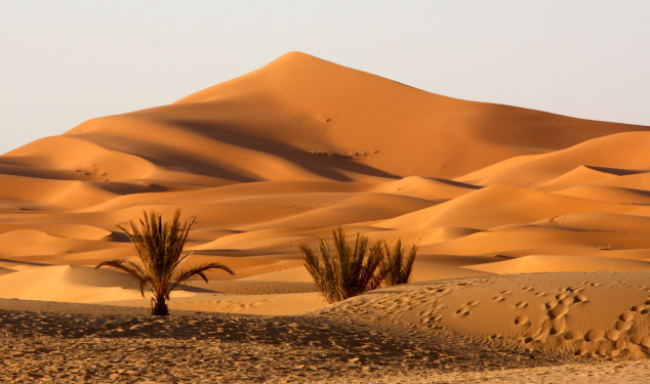 Sahara Desert