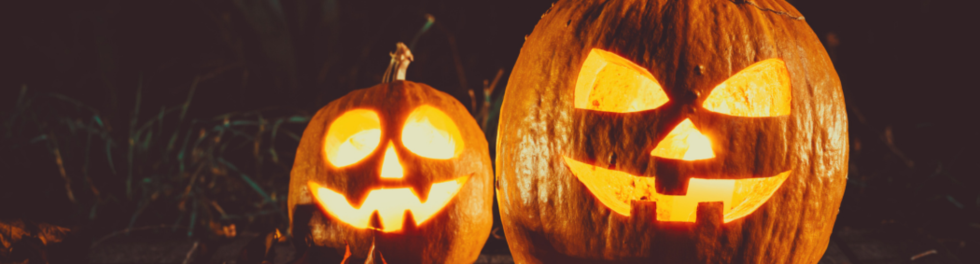 Hallween pumpkins