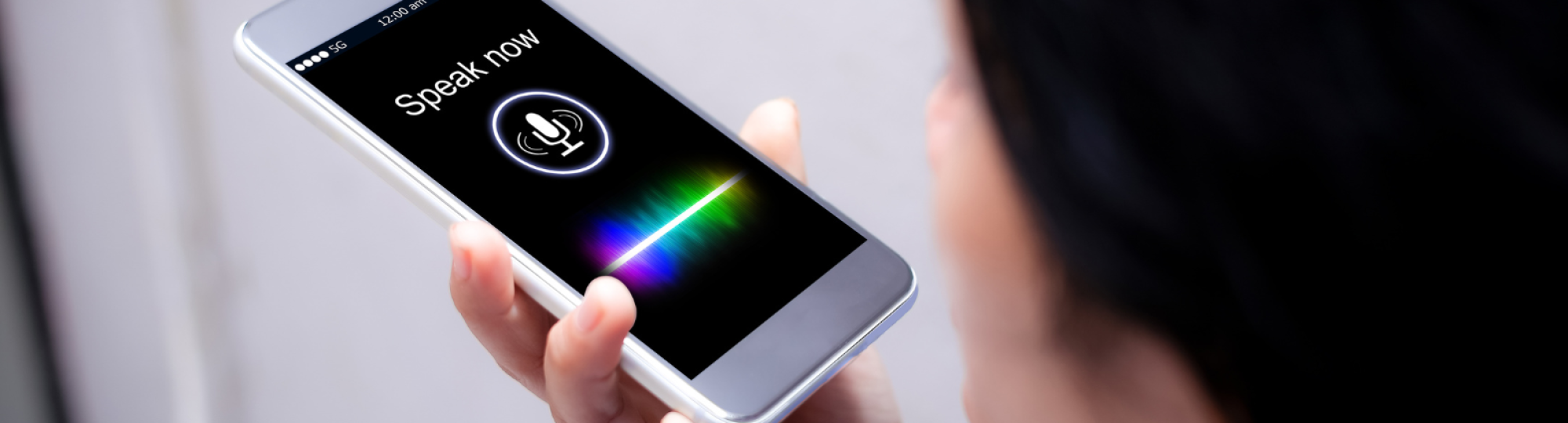 Voice banking