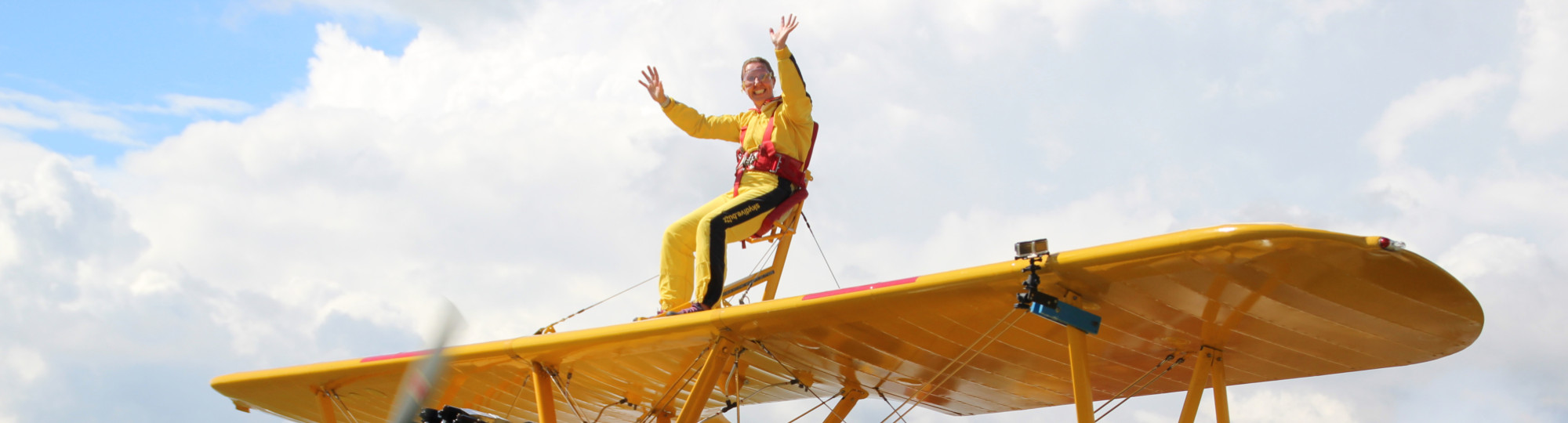Wing Walk