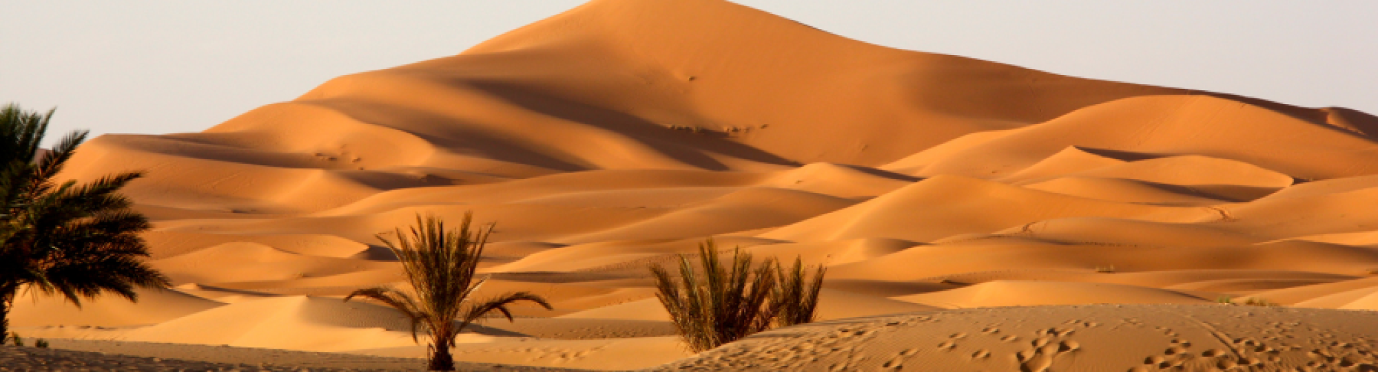 Sahara Desert